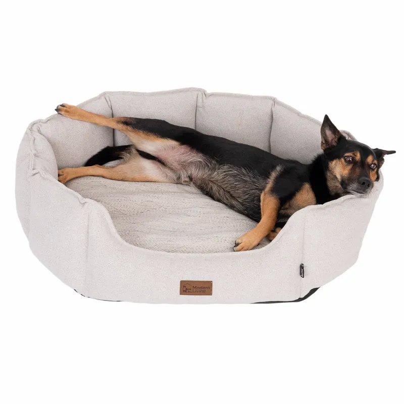 Modern Living Panier Chien Phoenix
