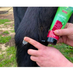 CRÈME CICATRISANTE CUTENE - ANIMADERM