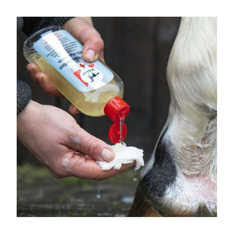 LOTION LAVANTE MED - LEOVET